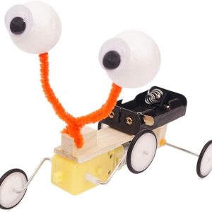 DIY Educational Electric Reptile Robot for Science Experiment