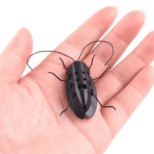 Solar powered Black Cockroach Bug Toy