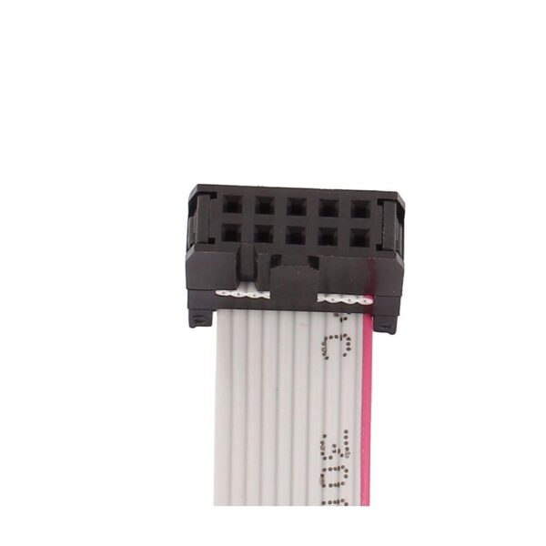 10 Pin (10 Wire) Female to Female Connector Flat Ribbon Cable (FRC) Cable – 20 cm Length - Image 2