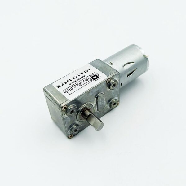 12V 30 RPM Worm Gear Box Motor - Image 2