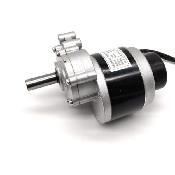MY1016ZL 24V 250W 120 RPM Electric Brushed Gear Wheelchair DC Motor with Electromagnetic Breaks