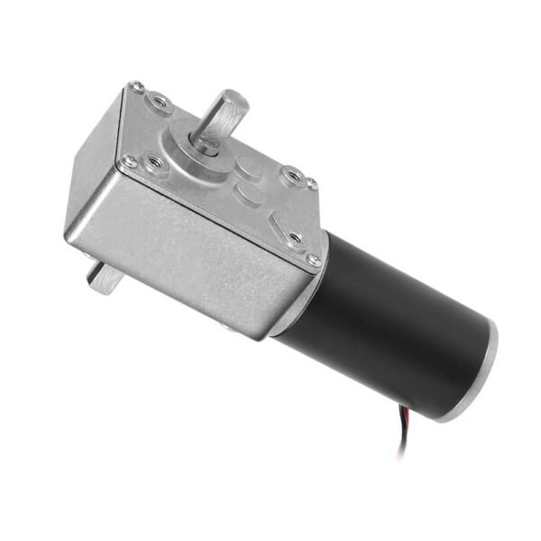 A58SW31ZY 24V 10RPM Dual Shaft Dc Worm Gear Motor